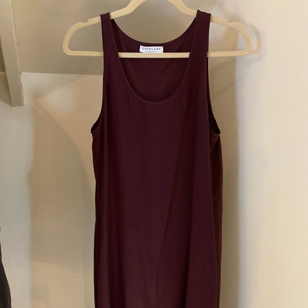 Everlane Silk Tank Dress